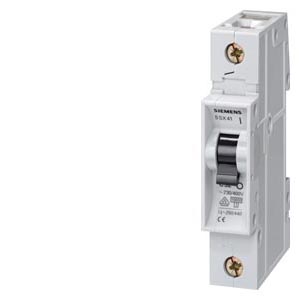 Siemens 5SX4101-7 Pic_2