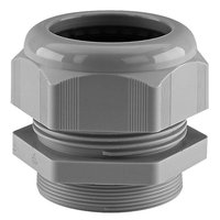 Schlemmer 5308956 Pic_1